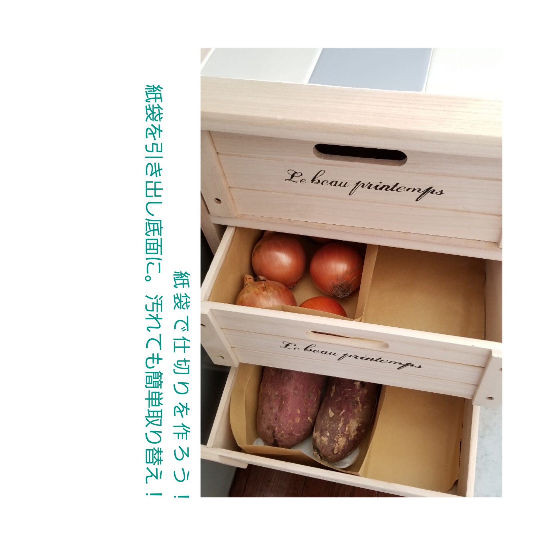 野菜ストッカー　低温障害　収納